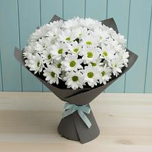 Букет цветов из:  Хризантемы #REPLACE_PRED# Бавтугае