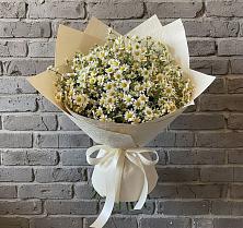 Букет цветов из:  Ромашки в Бавтугае